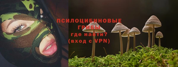 кокс Абаза