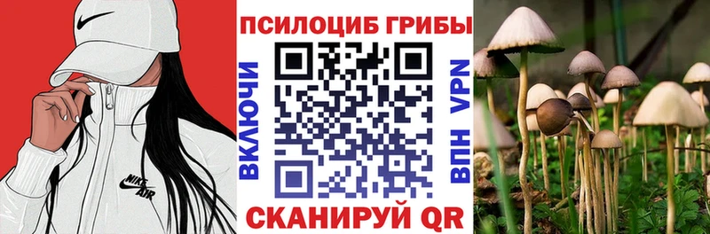 Галлюциногенные грибы Magic Shrooms  Тарко-Сале 